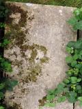 image of grave number 583911